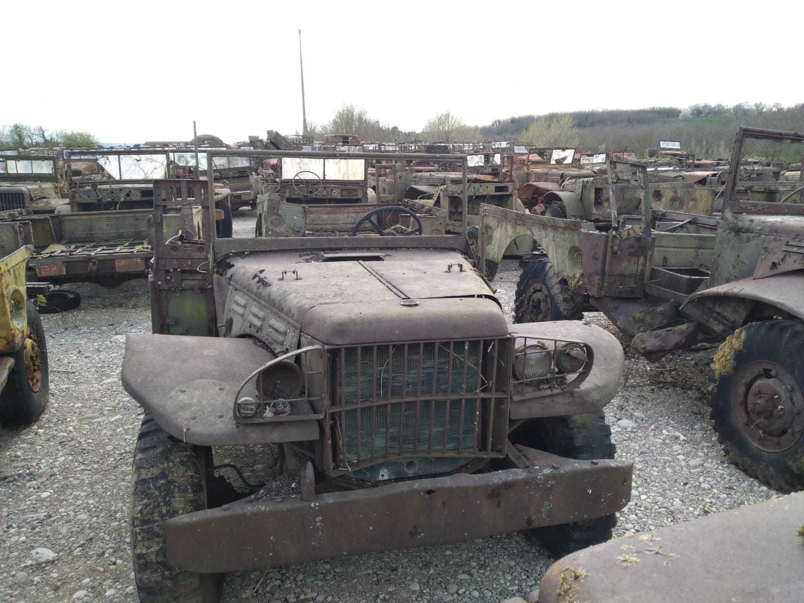 DODGE WC 51